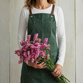 QIS Rose, Statice Seeds